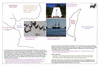 coo1d33 ship cove_thumb.gif